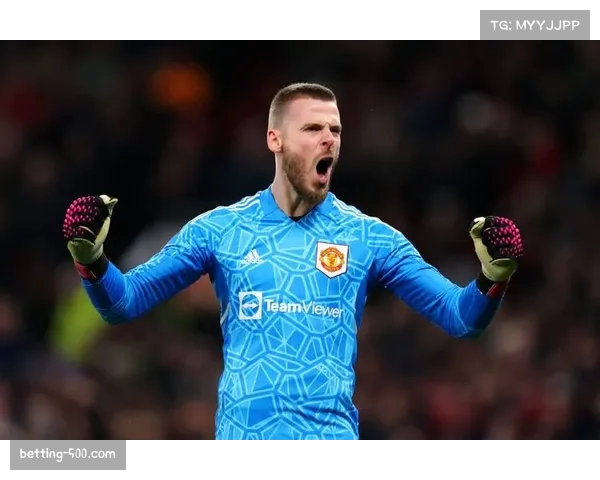 德赫亚直言意甲是多年梦想离开英超后可陪伴家人享受更平衡人生